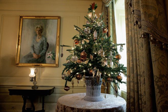 Твърде много елхи