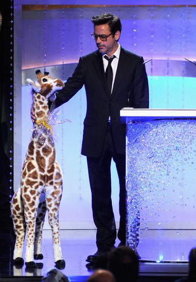 Робърт Дауни-младши с жираф