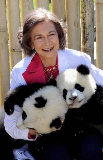 Кралица София при малките панди