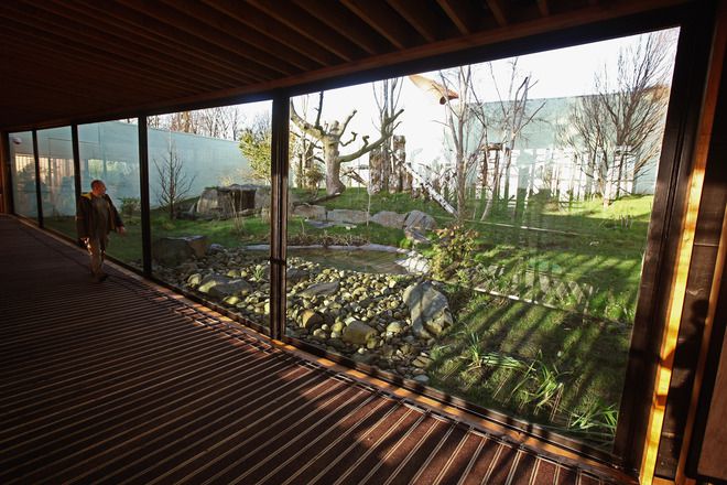 Леговището на пандите