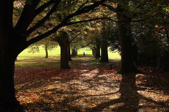 Есенни пейзажи от английската провинция