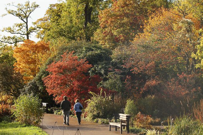 В парка през есента