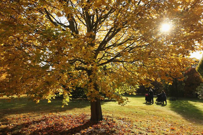 Есенното слънце