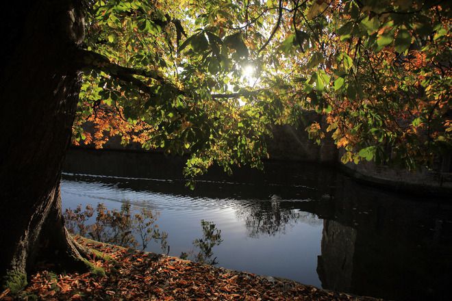Есенна идилия