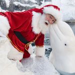 Дядо Коледа и кит белуга
