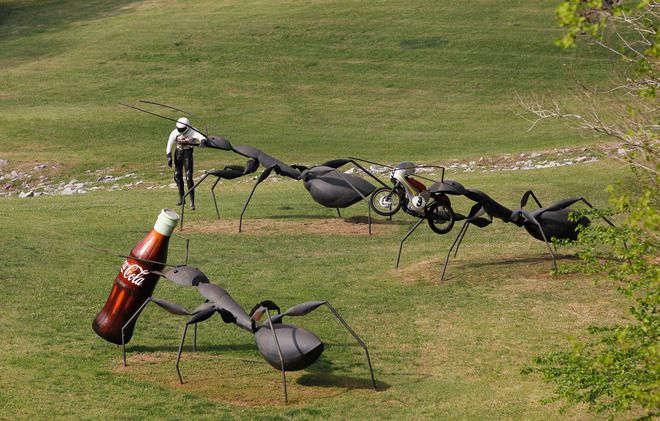 Мравки великани