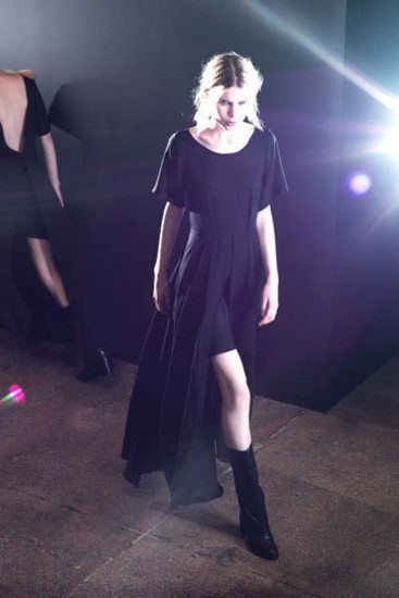 Theyskens' Theory Pre-Fall | 33