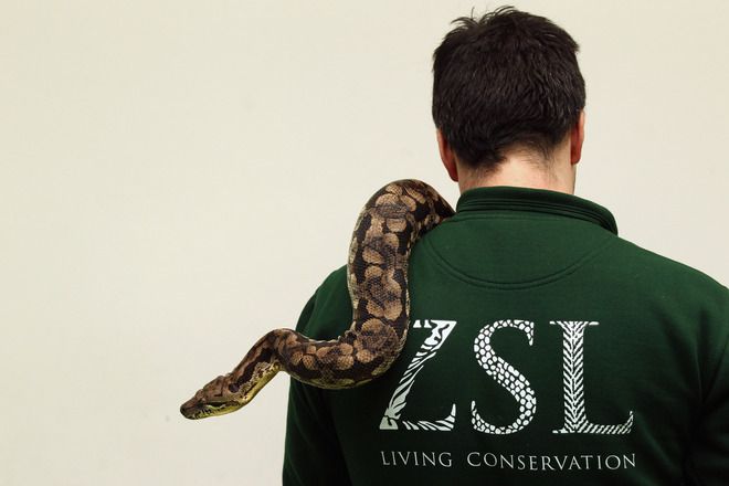 Преброяване в зоопарка