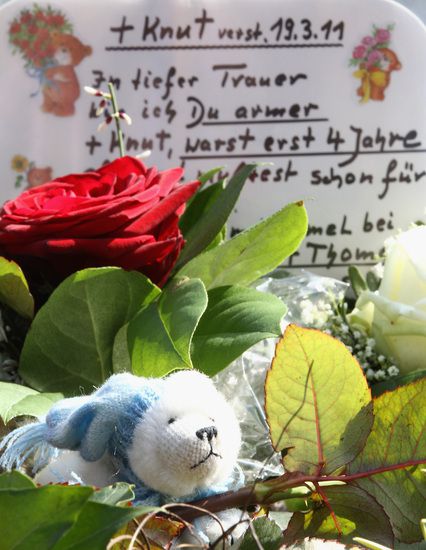 В памет на Кнут