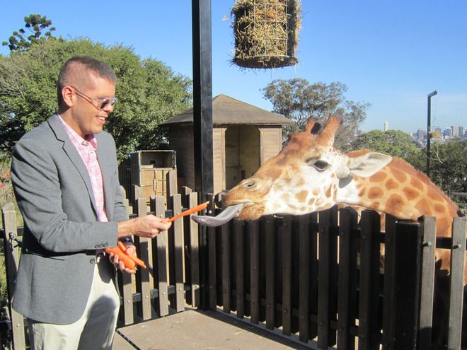 Да нахраниш жираф