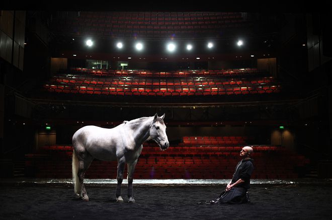 Кон в театъра