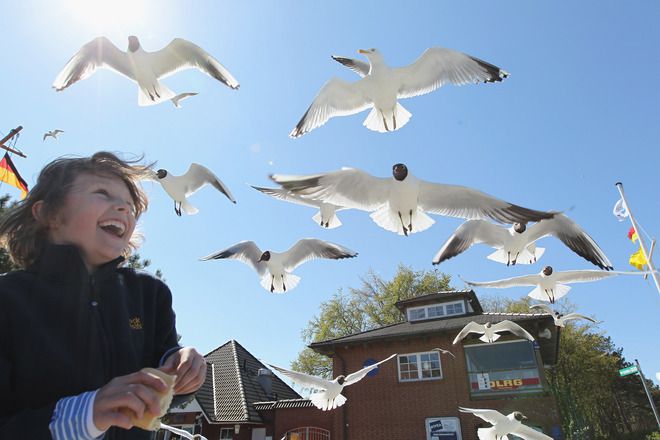 Слънчев ден