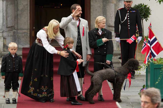 Кралски лабрадудъл