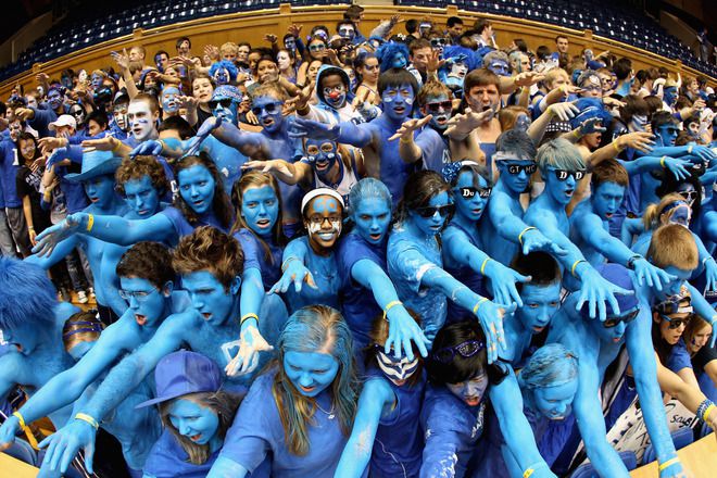 Сини фенове