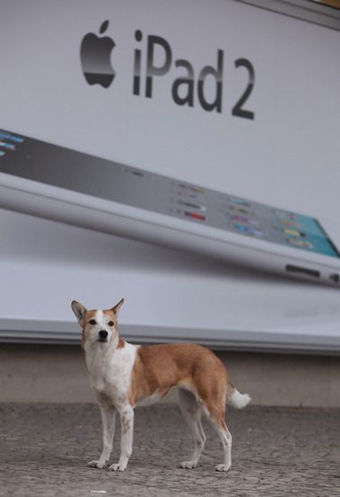 iPad и куче