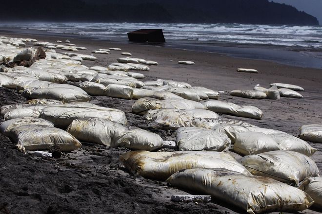 Изхвърлени на брега