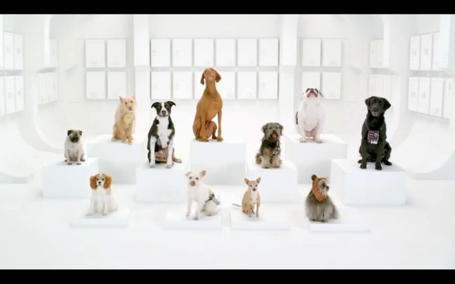 The Bark Side: 2012 Volkswagen Game Day Commercial Teaser