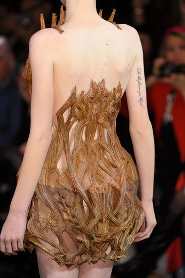 Iris Van Herpen 2012 | 30