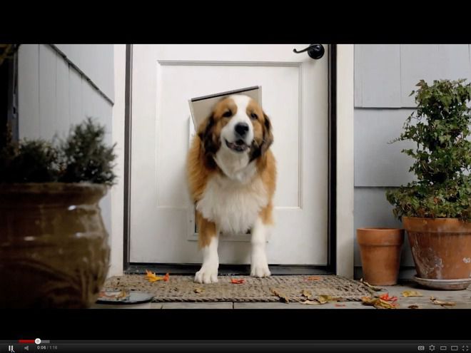 Фолксваген 2012