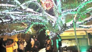 Дървото на желанията