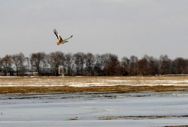 Дропла край Балчик