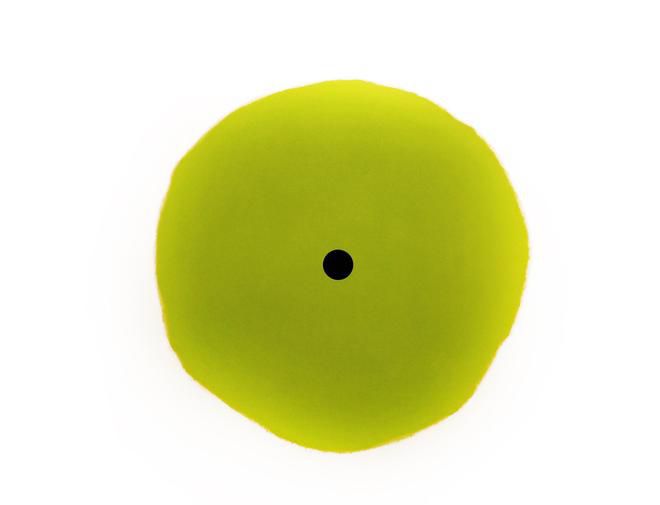 Donald Sultan "Green Trumpet"