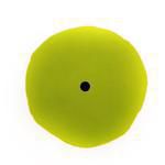 Donald Sultan "Green Trumpet"