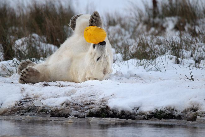 Уокър в Шотландия