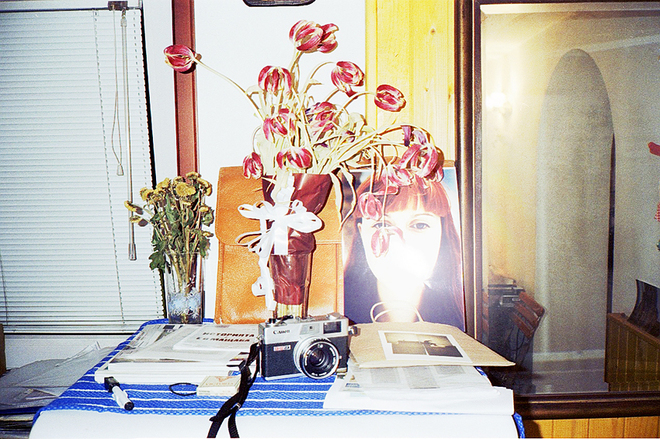 Коли, мацки и пейзажи