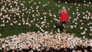 10 хиляди цветя на двора