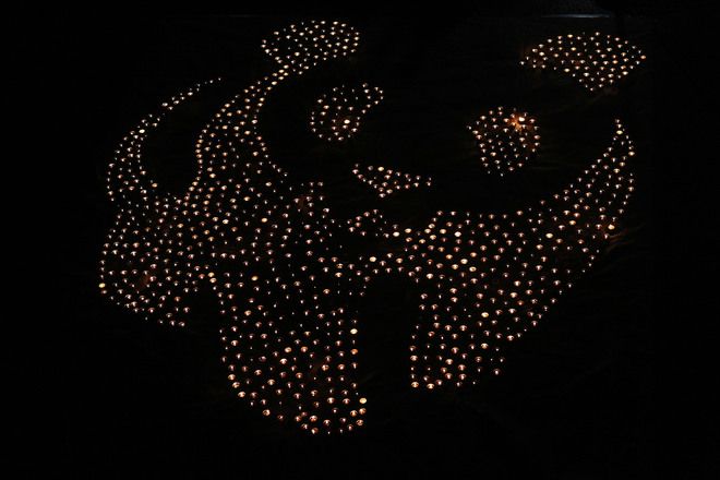 Пандата на WWF в Сидни