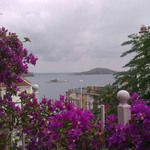 Разцъфналият остров Скиатос