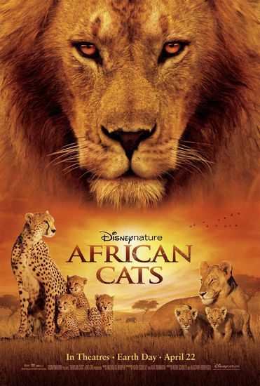 Африкански котки - плакат