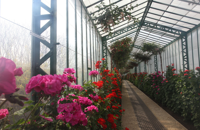 Кралските оранжерии в Брюксел, 2012 г.