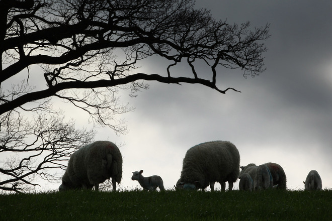 Гергьовден