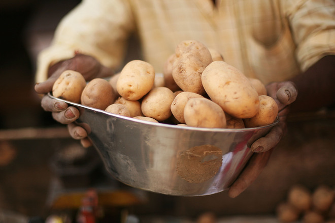 Картофите са най-богати на витамини