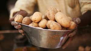 Картофите са най-богати на витамини