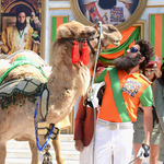 Диктаторът с камила в Кан