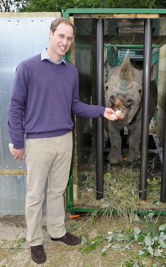 Принц Уилям и носорога