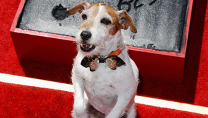 Уги се пенсионира