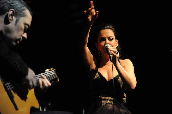 Бебел Жилберто на концерт