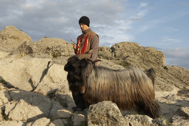 Иван Бърнев в "Козелът"