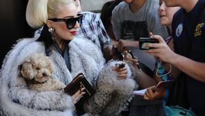 Лейди Гага раздава автографи