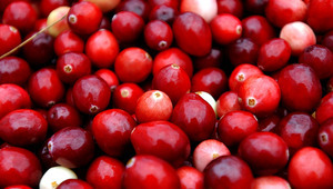 Червени боровинки