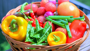 Бъдещето на човечеството ще бъде вегетарианско