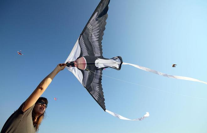 Хвърчило с форма на червеногуша гъска