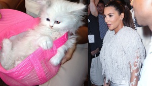 Ким Кардашиян и котето й Мърси