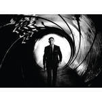 Един от плакатите за "007 координати: Скайфол"