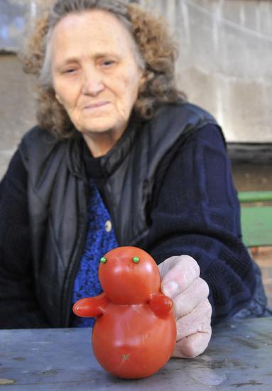 Доматът барбарон