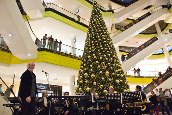 Елхата в Сердика Център